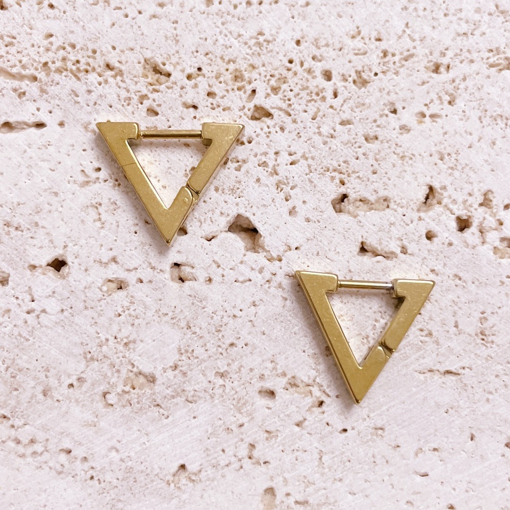 V Shaped Stainless Steel Earrings